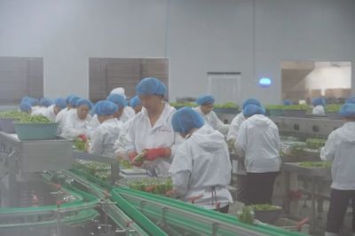 数字经济浪潮下的食品互联网销售 中国人民大学应用经济学院的学术洞察与实践路径