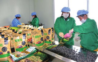 白山 创新创业风鹏正举，食品互联网销售谱写新篇章